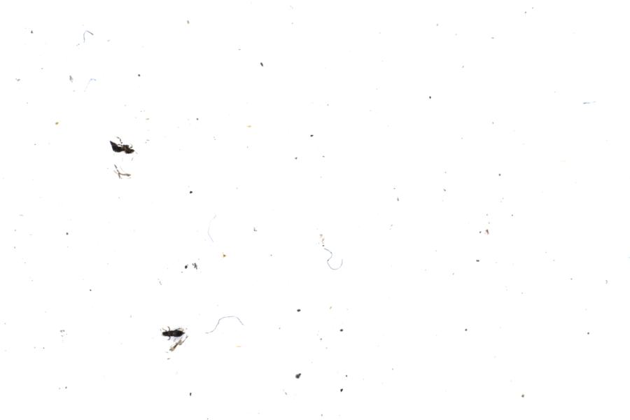 Image 64